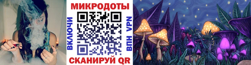 Галлюциногенные грибы Magic Shrooms  Луга 